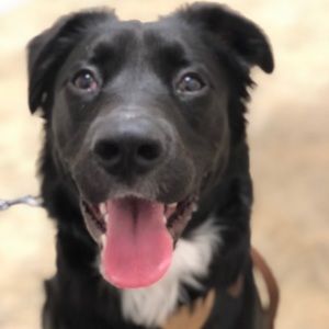 Meet your Posher, Scott